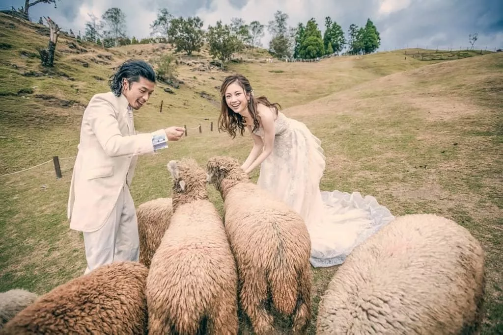 婚紗攝影Ginny&Freddy韓風婚紗@南投老英格蘭莊園-日月潭-清境農場-視覺流感婚紗攝影Ginny&Freddy韓風婚紗@南投老英格蘭莊園-日月潭-清境農場