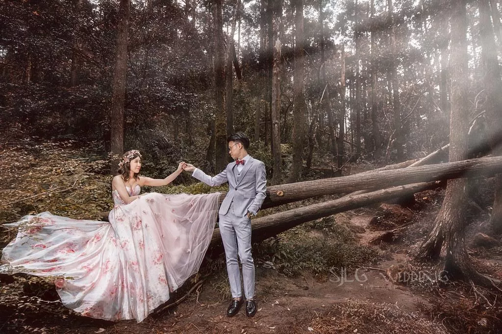 婚紗攝影台北必讀婚紗攝影景點|陽明山黑森林|唯美浪漫代表-婚紗攝影台北必讀婚紗攝影景點|陽明山黑森林|唯美浪漫代表