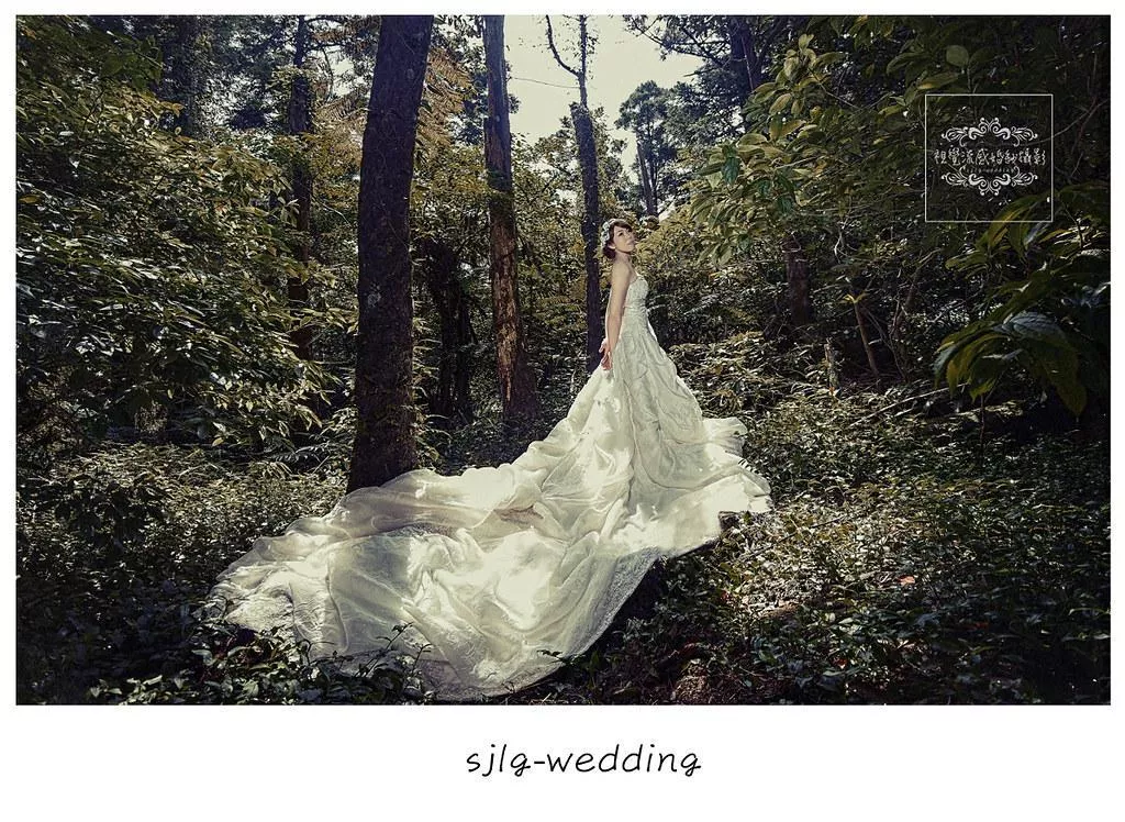 婚紗攝影台北必讀婚紗攝影景點|陽明山黑森林|唯美浪漫代表-婚紗攝影台北必讀婚紗攝影景點|陽明山黑森林|唯美浪漫代表