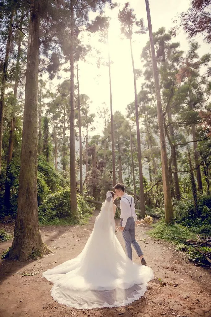 婚紗攝影台北必讀婚紗攝影景點|陽明山黑森林|唯美浪漫代表-婚紗攝影台北必讀婚紗攝影景點|陽明山黑森林|唯美浪漫代表