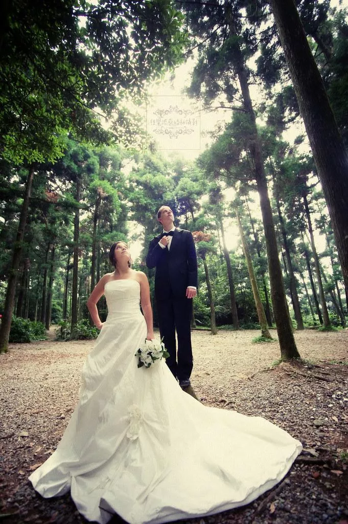 婚紗攝影台北必讀婚紗攝影景點|陽明山黑森林|唯美浪漫代表-婚紗攝影台北必讀婚紗攝影景點|陽明山黑森林|唯美浪漫代表