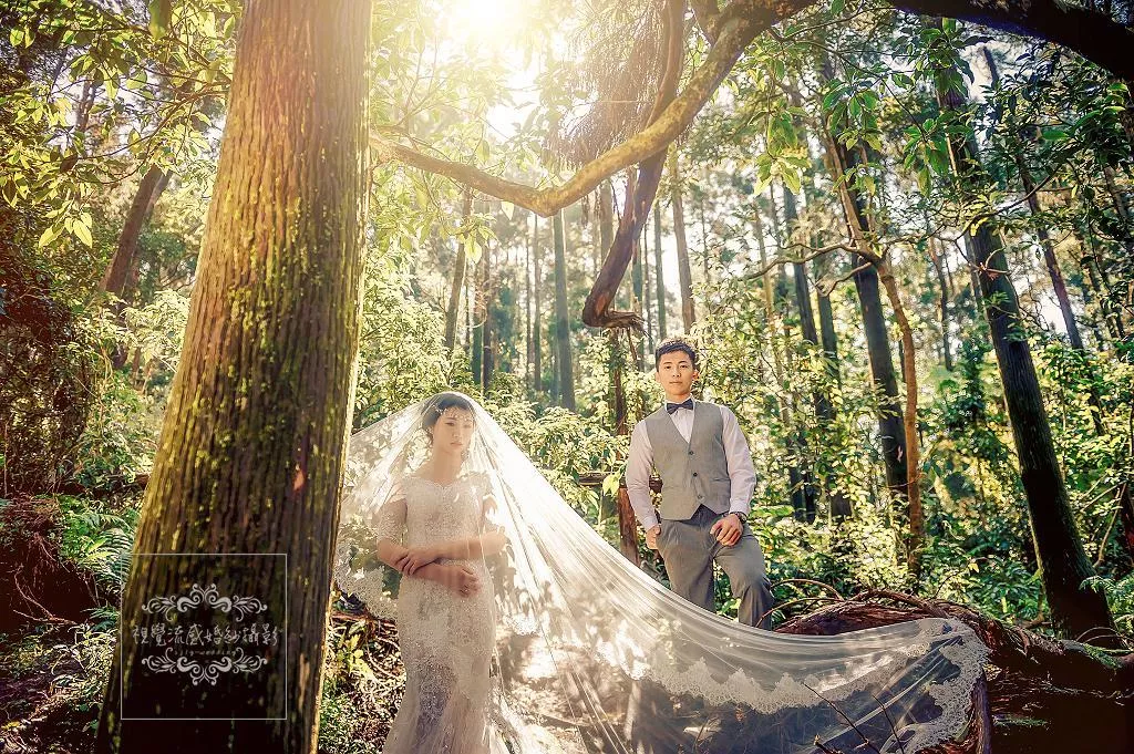 婚紗攝影台北必讀婚紗攝影景點|陽明山黑森林|唯美浪漫代表-婚紗攝影台北必讀婚紗攝影景點|陽明山黑森林|唯美浪漫代表