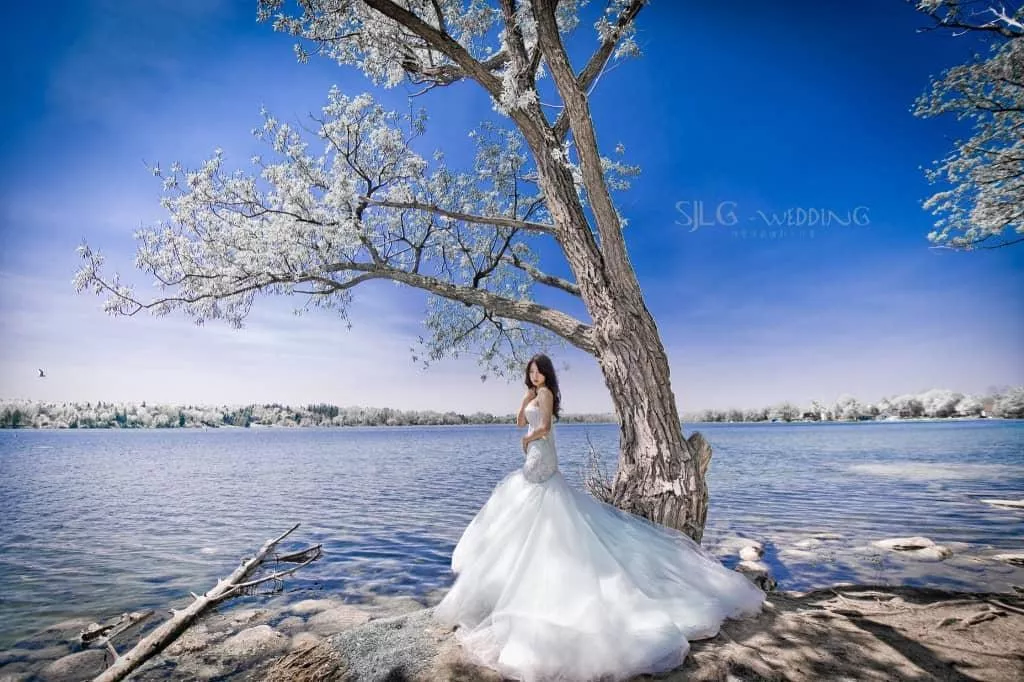 toronto-Lake-Wilcox-park-2-1024x682-視覺流感CanadaTorontoPre-weddingPhotography加拿大海外婚紗攝影@OverseasPre-WeddingPhotoCanadaToronto加拿大多倫多拍婚紗攝影