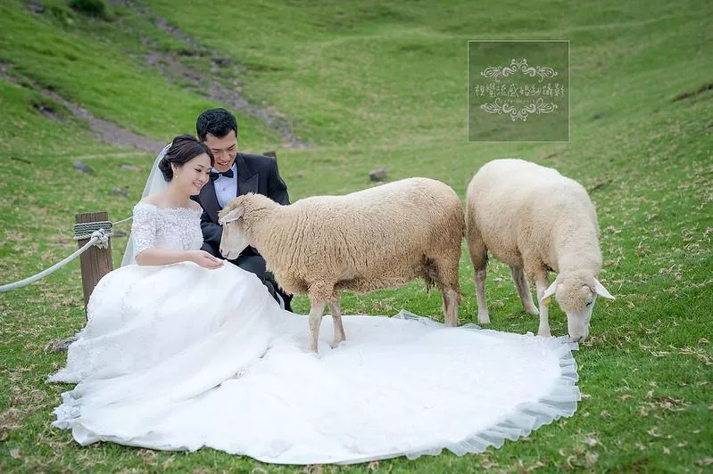 婚紗攝影南投婚紗景點必拍攝影推薦|清境農場-青青草原-婚紗攝影南投婚紗景點必拍攝影推薦|清境農場-青青草原