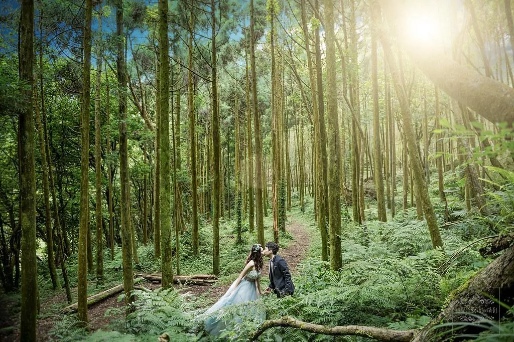 婚紗攝影台北婚紗景點推薦|陽明山神秘黑森林|媲美南投忘憂-婚紗攝影台北婚紗景點推薦|陽明山神秘黑森林|媲美南投忘憂