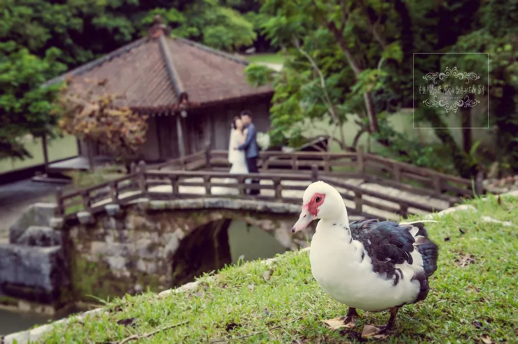 日本海外婚紗攝影,琉球沖繩拍婚紗,首里城旅拍,中和視覺流感婚紗-日本海外婚紗攝影|琉球沖繩|首里城