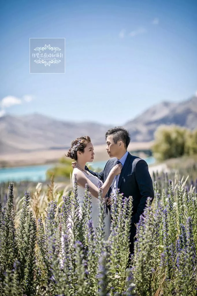 海外婚紗攝影|紐西蘭(新西蘭)NEWZEALAND|南島特(蒂)卡波湖LakeTekapo-魯冰花海-海外婚紗攝影|紐西蘭(新西蘭)NEWZEALAND|南島特(蒂)卡波湖LakeTekapo-魯冰花海
