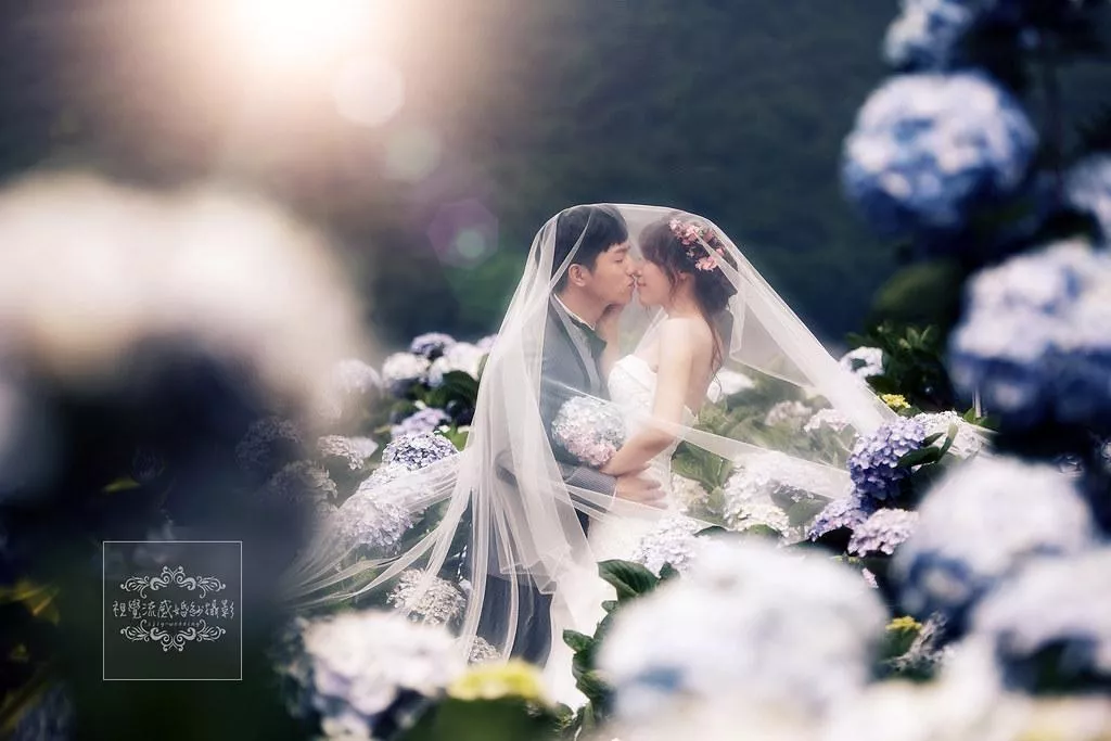 婚紗攝影台北景點|陽明山水車寮步道-高家繡球花田-竹子湖大賞園繡球花|季節限定婚紗景點-婚紗攝影台北景點|陽明山水車寮步道-高家繡球花田-竹子湖大賞園繡球花|季節限定婚紗景點