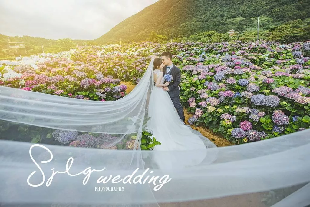 婚紗攝影台北景點|陽明山水車寮步道-高家繡球花田-竹子湖大賞園繡球花|季節限定婚紗景點-婚紗攝影台北景點|陽明山水車寮步道-高家繡球花田-竹子湖大賞園繡球花|季節限定婚紗景點