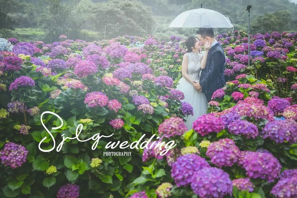 視覺流感婚紗攝影工作室唯一推薦-婚紗攝影台北景點|陽明山水車寮步道-高家繡球花田-竹子湖大賞園繡球花|季節限定婚紗景點