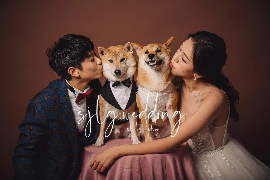 #婚紗攝影,#海外婚紗,#婚禮紀錄,#新娘秘書,#手工禮服租借,#孕婦照孕婦寫真,#巷子內攝影棚出租,#個人寫真藝術照,#台北板橋中和拍婚紗,#韓風婚紗,#美式清新,#小清新婚紗#棚拍,#推薦巷子內攝影棚拍(497)-#婚紗攝影,#海外婚紗,#婚禮紀錄,#新娘秘書,#手工禮服租借,#孕婦照孕婦寫真,#巷子內攝影棚出租,#個人寫真藝術照,#台北板橋中和拍婚紗,#韓風婚紗,#美式清新,#小清新婚紗#棚拍,#推薦巷子內攝影棚拍